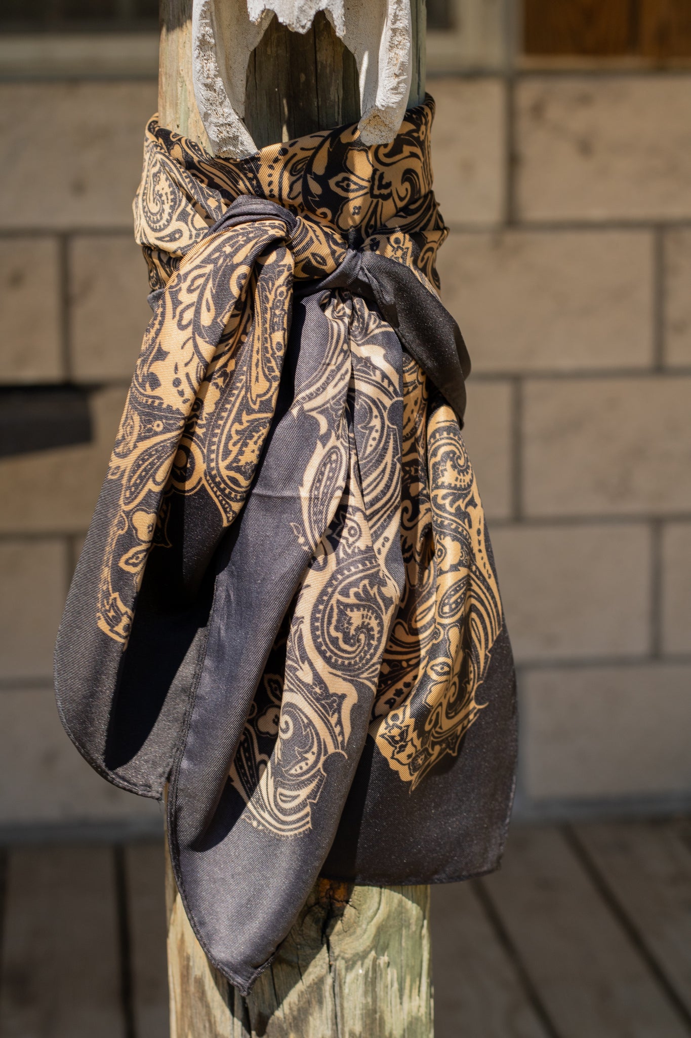Black/Gold Paisley Wild Rag