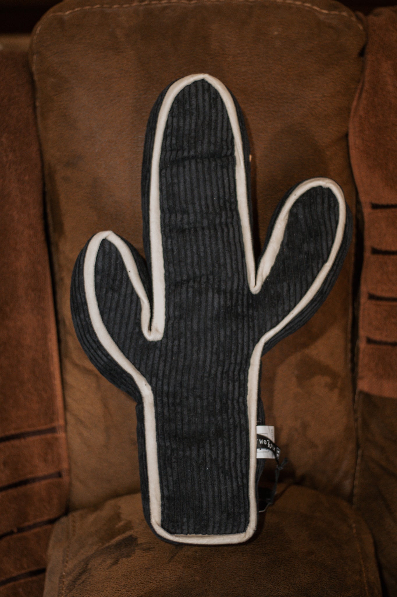 Kick A Cactus Pillow
