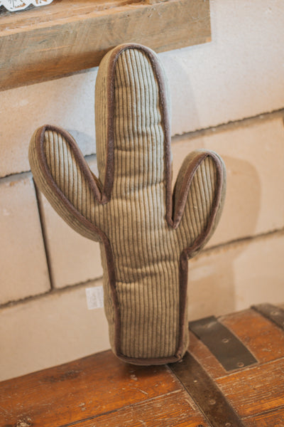 Kick A Cactus Pillow