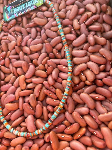 Spiney Turquoise Heishi Necklace