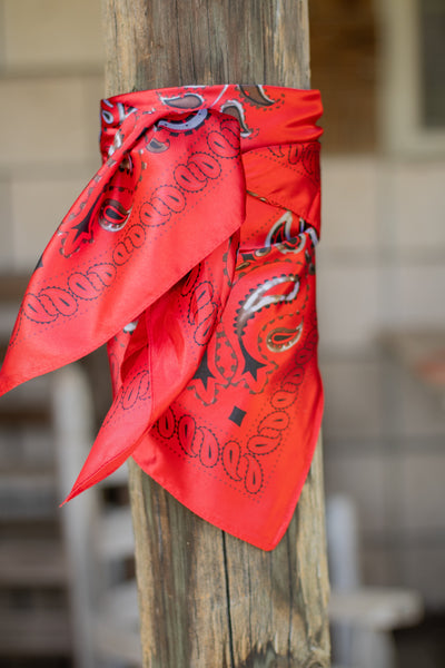 Red Paisley Wild Rag