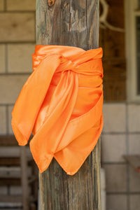 Red/Orange Wild Rag