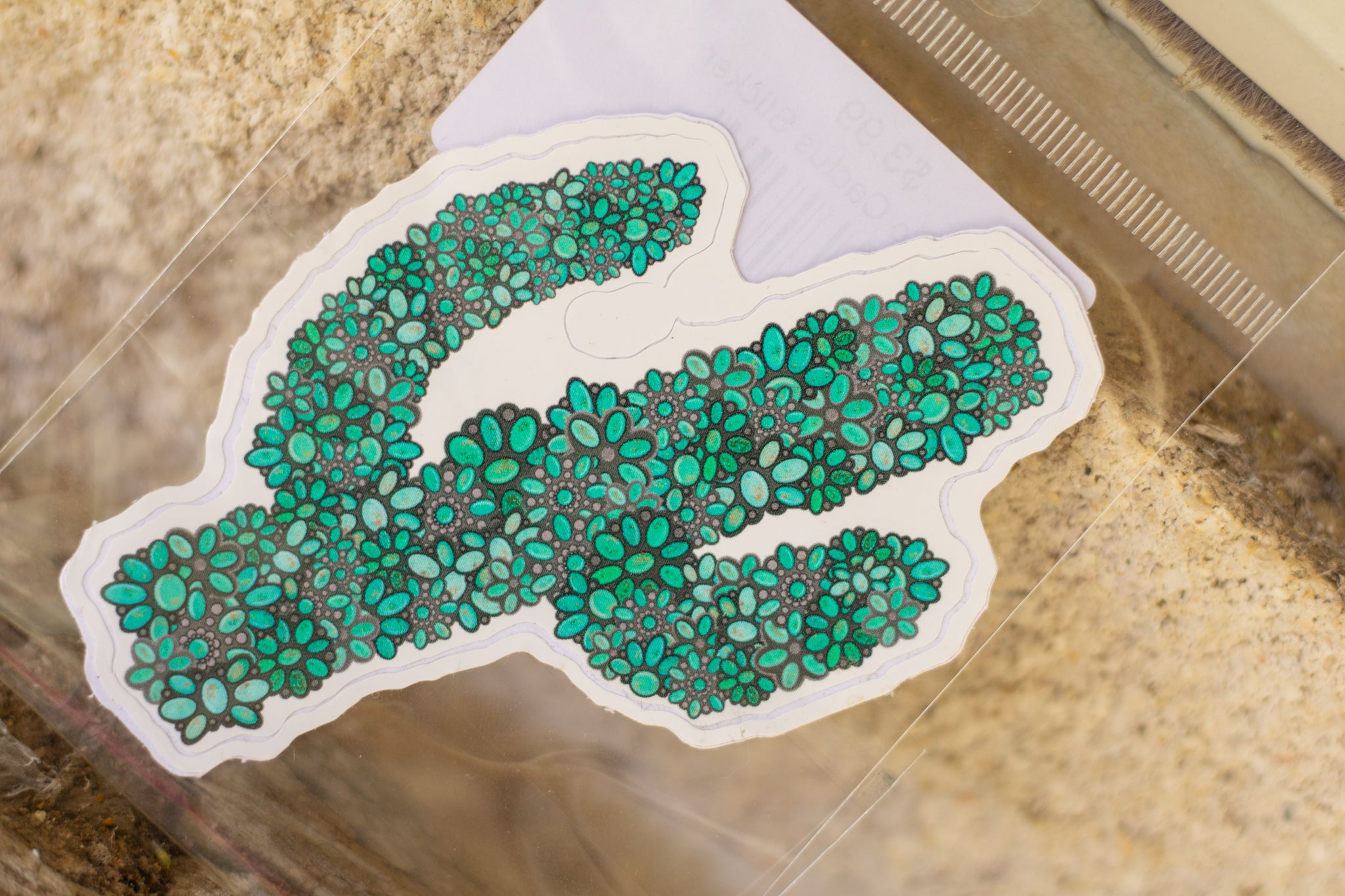 Concho Cactus Sticker
