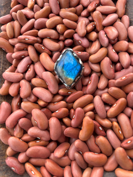 Tibet Labradorite Ring