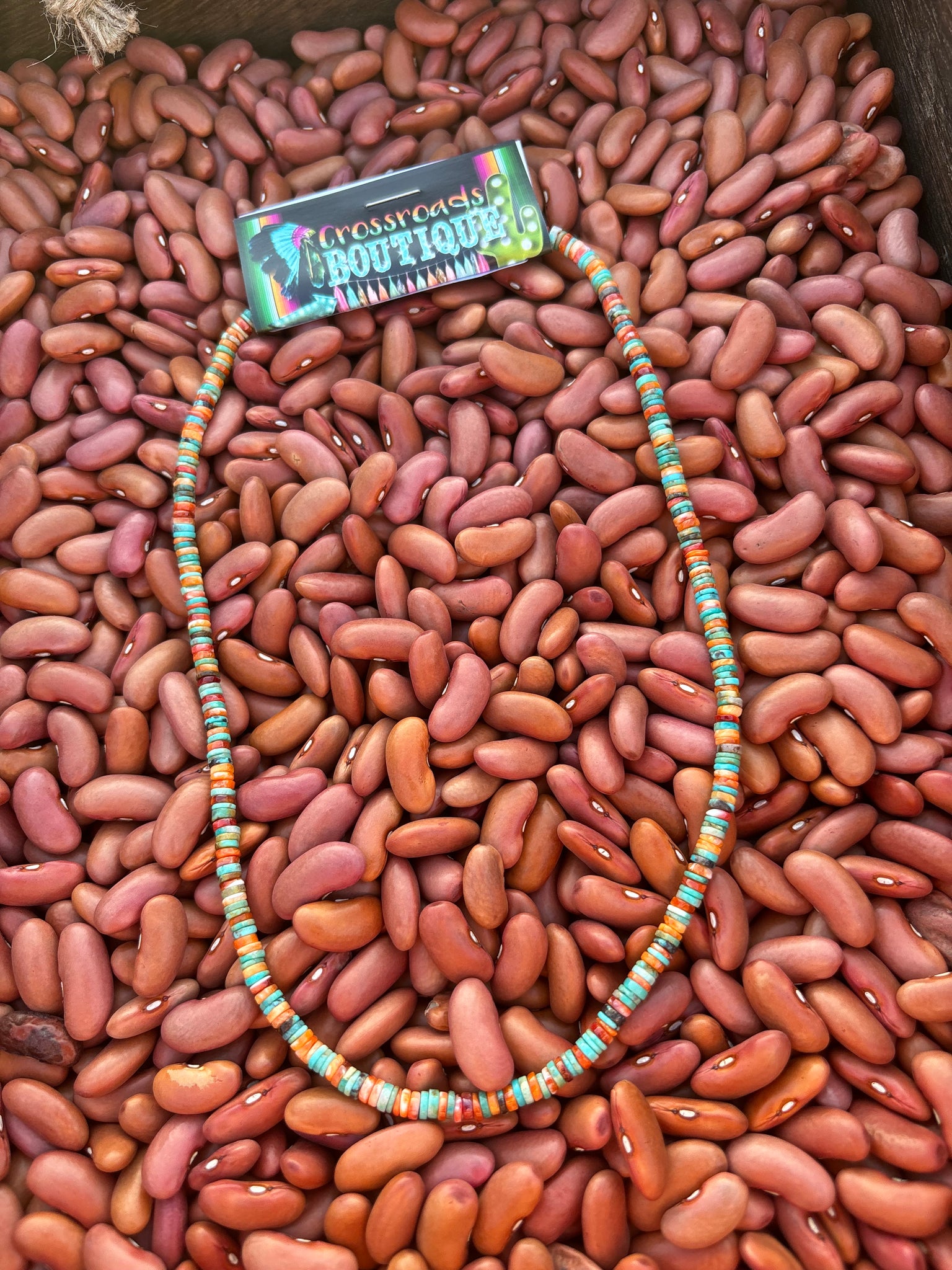 Spiney Turquoise Heishi Necklace