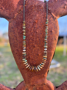 Graduated Turquoise with Sterling Silver Pearls